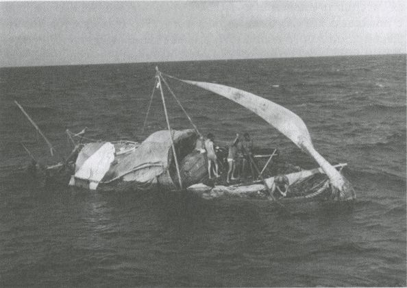 Иллюстрация к книге — Тур Хейердал. Биография. Книга 2. Человек и мир [i_102.jpg]