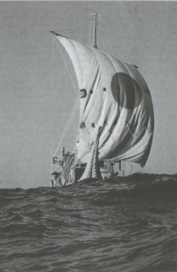 Иллюстрация к книге — Тур Хейердал. Биография. Книга 2. Человек и мир [i_104.jpg]