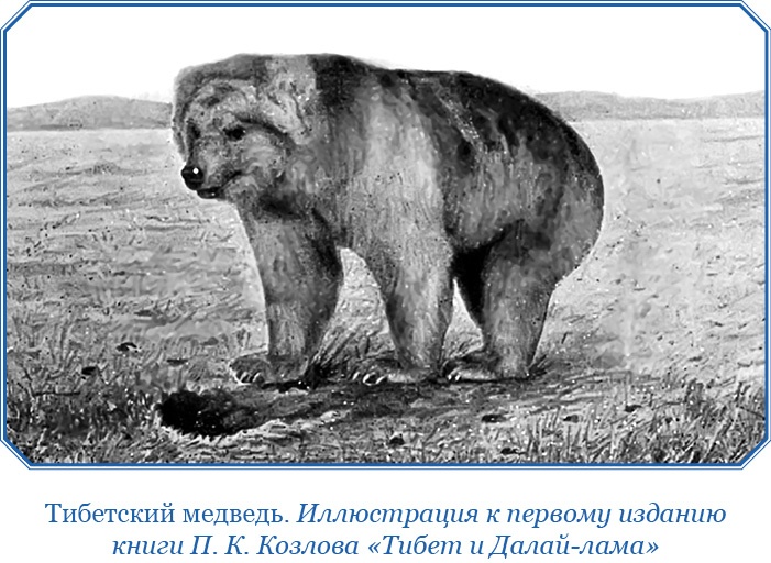 Иллюстрация к книге — Тибет и Далай-лама. Мертвый город Хара-Хото [i_084.jpg]