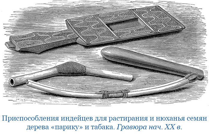 Иллюстрация к книге — Путешествия. Дневники. Воспоминания [i_058.jpg]