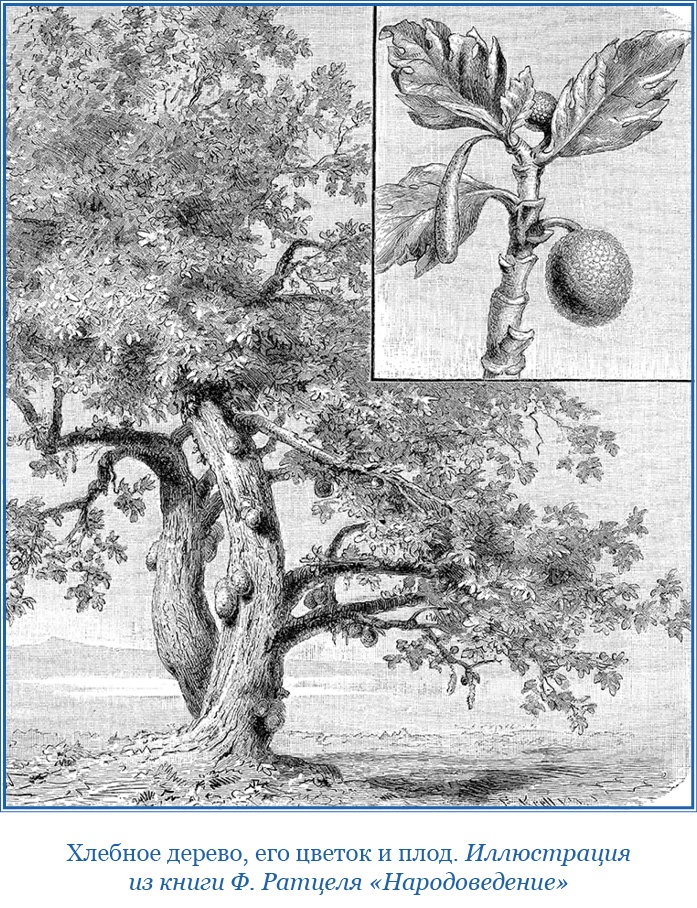 Иллюстрация к книге — Путешествия вокруг света [img_0417.jpg]