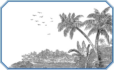 Иллюстрация к книге — Путешествия вокруг света [img_0558.jpg]