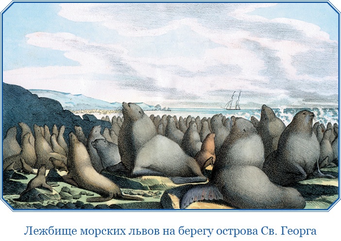 Иллюстрация к книге — Первое российское плавание вокруг света [i_013.jpg]