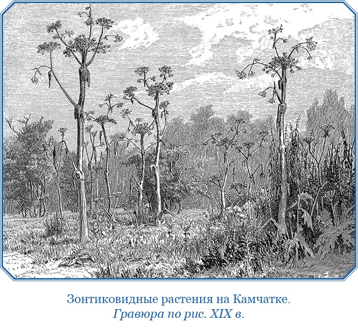 Иллюстрация к книге — Первое российское плавание вокруг света [i_054.jpg]
