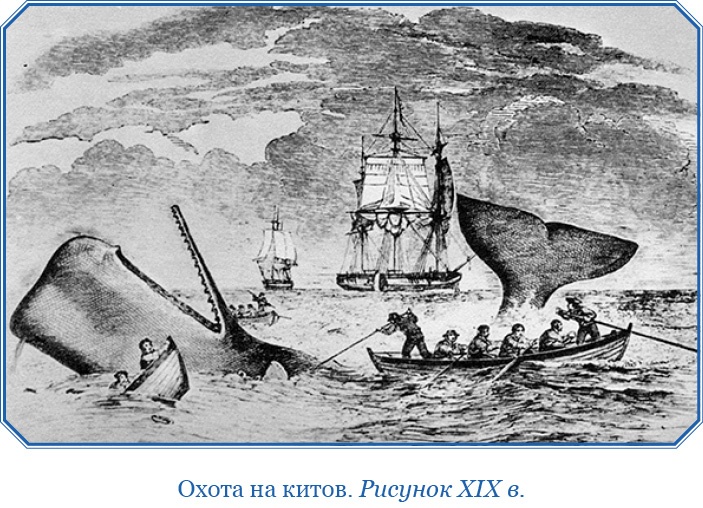 Иллюстрация к книге — Первое российское плавание вокруг света [i_095.jpg]