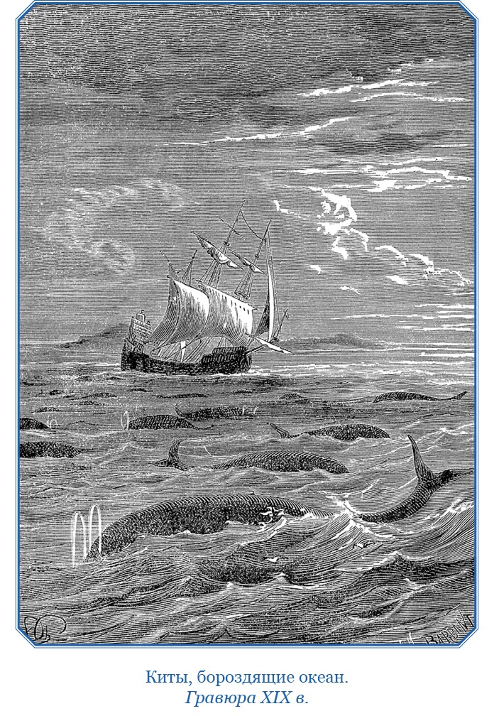 Иллюстрация к книге — Первое российское плавание вокруг света [i_112.jpg]