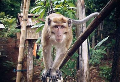 Иллюстрация к книге — Жизнь в дороге [i_029.jpg]