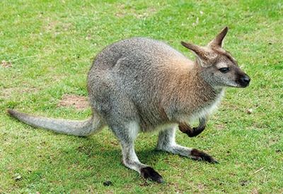 Иллюстрация к книге — Жизнь в дороге [i_035.jpg]