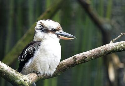 Иллюстрация к книге — Жизнь в дороге [i_037.jpg]