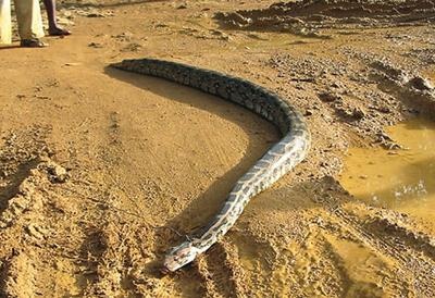 Иллюстрация к книге — Жизнь в дороге [i_095.jpg]