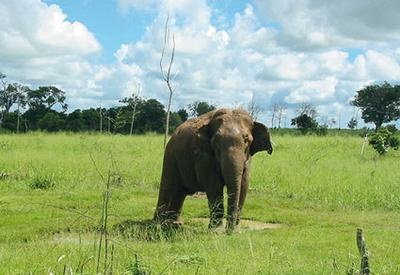 Иллюстрация к книге — Жизнь в дороге [i_096.jpg]