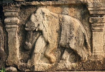 Иллюстрация к книге — Жизнь в дороге [i_098.jpg]