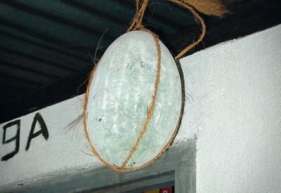 Иллюстрация к книге — Жизнь в дороге [i_101.jpg]