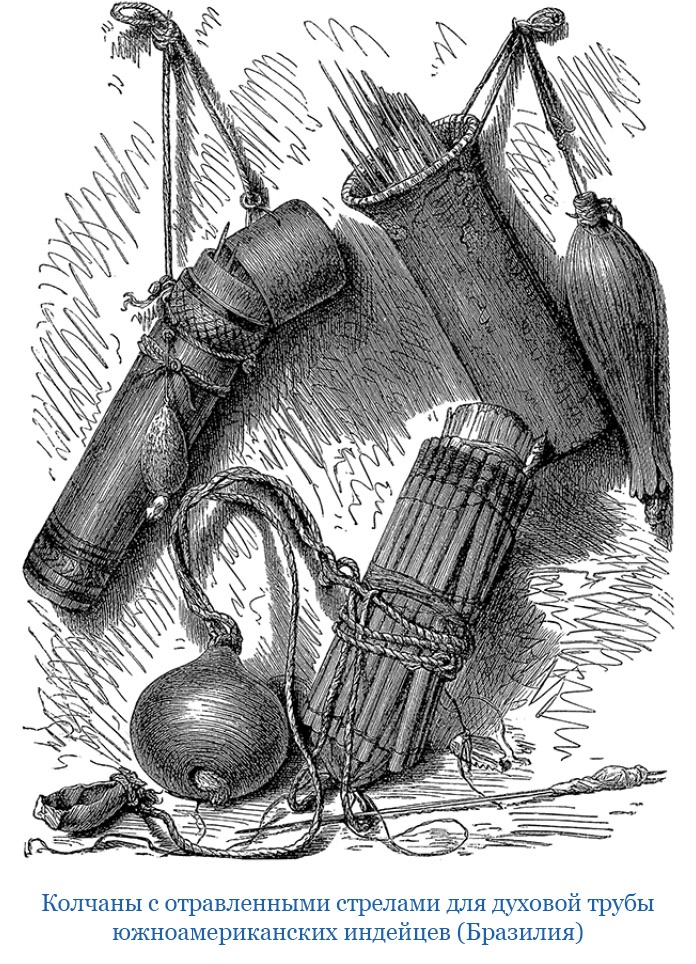 Иллюстрация к книге — Первое кругосветное плавание [i_044.jpg]