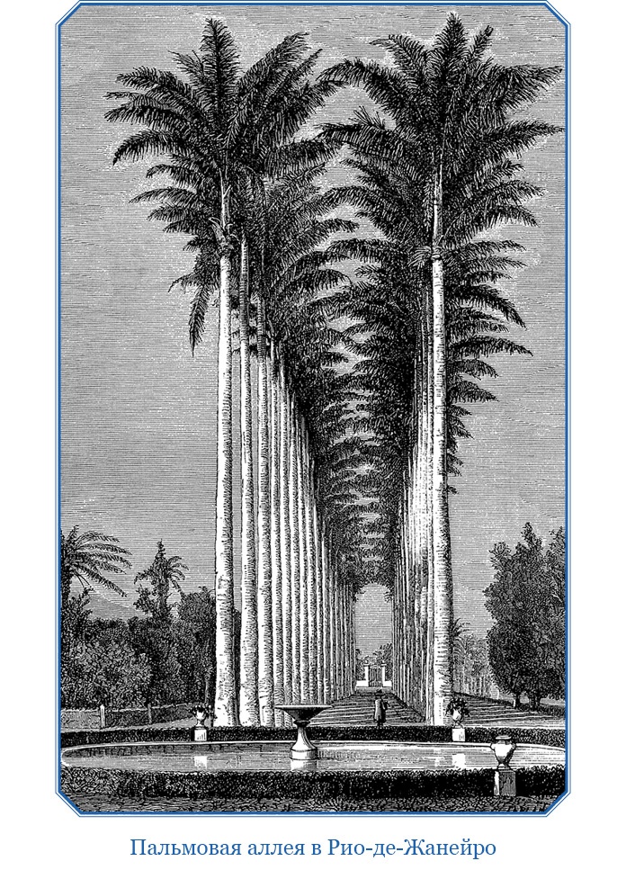 Иллюстрация к книге — Первое кругосветное плавание [i_049.jpg]