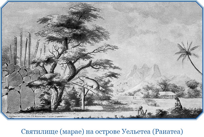 Иллюстрация к книге — Первое кругосветное плавание [i_072.jpg]