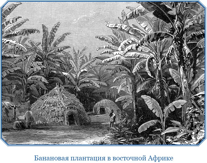 Иллюстрация к книге — Первое кругосветное плавание [i_123.jpg]