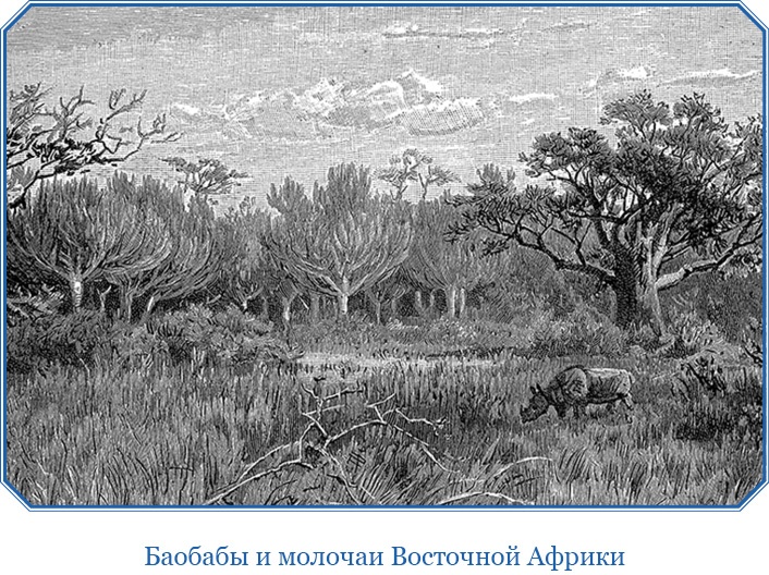 Иллюстрация к книге — Первое кругосветное плавание [i_125.jpg]