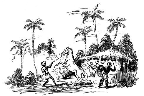 Иллюстрация к книге — За три моря. Путешествие Афанасия Никитина [i_029.jpg]