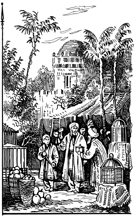 Иллюстрация к книге — За три моря. Путешествие Афанасия Никитина [i_035.jpg]