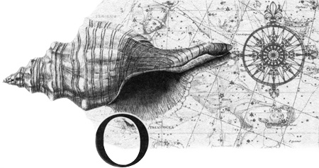 Иллюстрация к книге — Путешествие по всему миру на "Буссоли" и "Астролябии" [i_015.jpg]