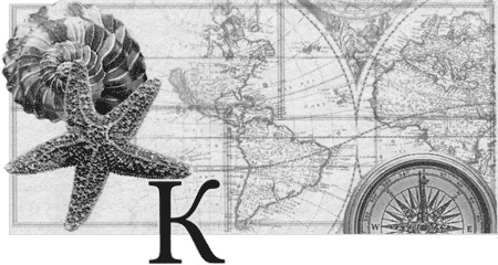 Иллюстрация к книге — Путешествие по всему миру на "Буссоли" и "Астролябии" [i_030.jpg]