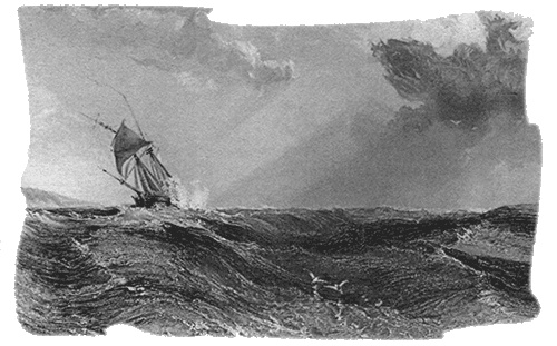 Иллюстрация к книге — Путешествие по всему миру на "Буссоли" и "Астролябии" [i_034.jpg]