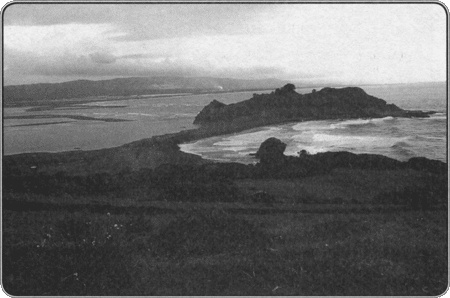 Иллюстрация к книге — Путешествие по всему миру на "Буссоли" и "Астролябии" [i_073.jpg]