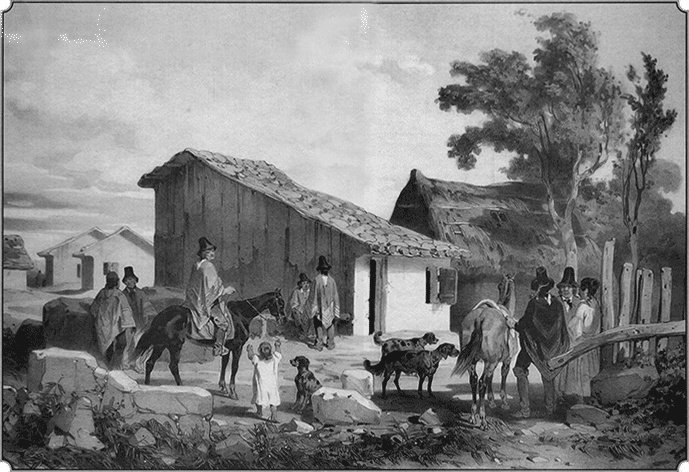 Иллюстрация к книге — Путешествие по всему миру на "Буссоли" и "Астролябии" [i_074.jpg]