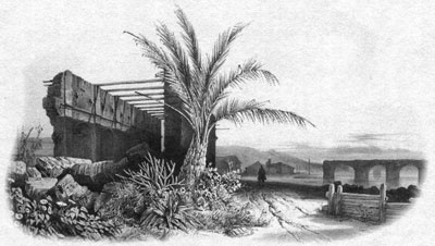 Иллюстрация к книге — Путешествие по всему миру на "Буссоли" и "Астролябии" [i_077.jpg]