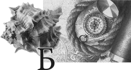 Иллюстрация к книге — Путешествие по всему миру на "Буссоли" и "Астролябии" [i_078.jpg]