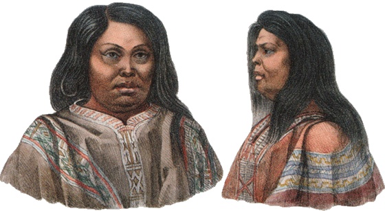 Иллюстрация к книге — Путешествие по всему миру на "Буссоли" и "Астролябии" [i_099.jpg]