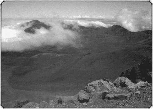 Иллюстрация к книге — Путешествие по всему миру на "Буссоли" и "Астролябии" [i_101.jpg]