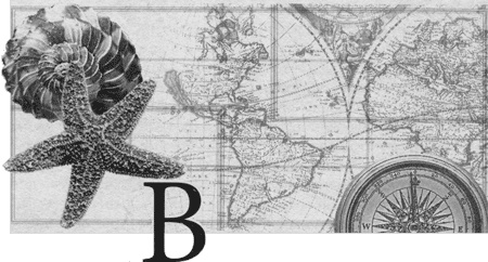 Иллюстрация к книге — Путешествие по всему миру на "Буссоли" и "Астролябии" [i_102.jpg]