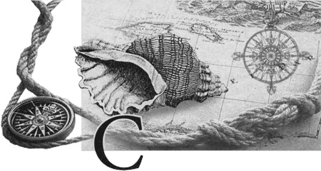 Иллюстрация к книге — Путешествие по всему миру на "Буссоли" и "Астролябии" [i_114.jpg]