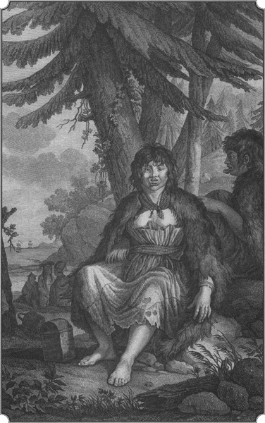 Иллюстрация к книге — Путешествие по всему миру на "Буссоли" и "Астролябии" [i_118.jpg]