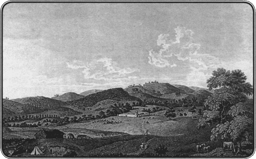 Иллюстрация к книге — Путешествие по всему миру на "Буссоли" и "Астролябии" [i_127.jpg]