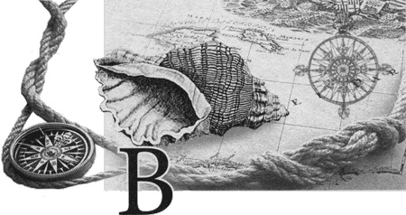 Иллюстрация к книге — Путешествие по всему миру на "Буссоли" и "Астролябии" [i_129.jpg]