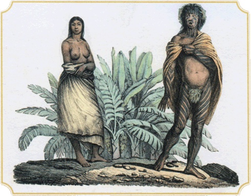 Иллюстрация к книге — Путешествие по всему миру на "Буссоли" и "Астролябии" [i_130.jpg]