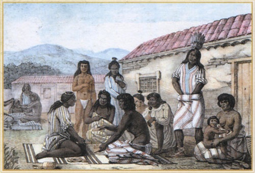 Иллюстрация к книге — Путешествие по всему миру на "Буссоли" и "Астролябии" [i_133.jpg]