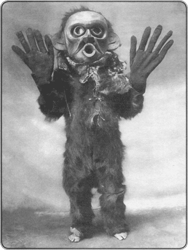 Иллюстрация к книге — Путешествие по всему миру на "Буссоли" и "Астролябии" [i_136.jpg]