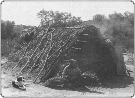 Иллюстрация к книге — Путешествие по всему миру на "Буссоли" и "Астролябии" [i_137.jpg]