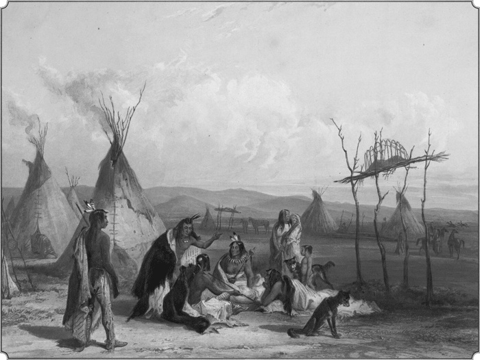 Иллюстрация к книге — Путешествие по всему миру на "Буссоли" и "Астролябии" [i_139.jpg]