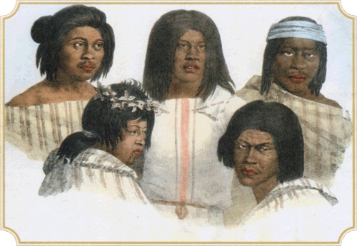 Иллюстрация к книге — Путешествие по всему миру на "Буссоли" и "Астролябии" [i_142.jpg]