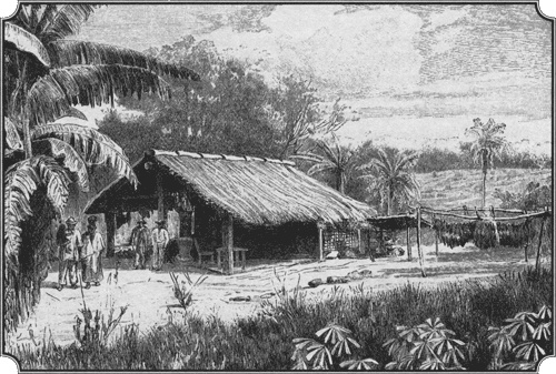 Иллюстрация к книге — Путешествие по всему миру на "Буссоли" и "Астролябии" [i_145.jpg]