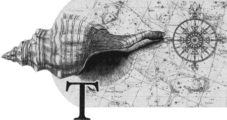 Иллюстрация к книге — Путешествие по всему миру на "Буссоли" и "Астролябии" [i_149.jpg]