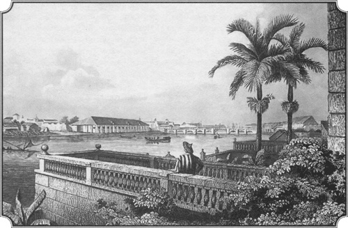 Иллюстрация к книге — Путешествие по всему миру на "Буссоли" и "Астролябии" [i_162.jpg]