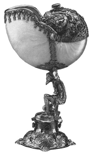 Иллюстрация к книге — Путешествие по всему миру на "Буссоли" и "Астролябии" [i_167.jpg]