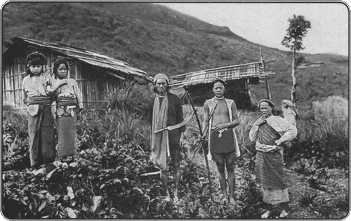 Иллюстрация к книге — Путешествие по всему миру на "Буссоли" и "Астролябии" [i_179.jpg]