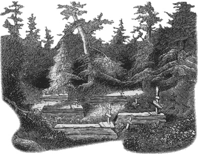 Иллюстрация к книге — Путешествие по всему миру на "Буссоли" и "Астролябии" [i_189.jpg]